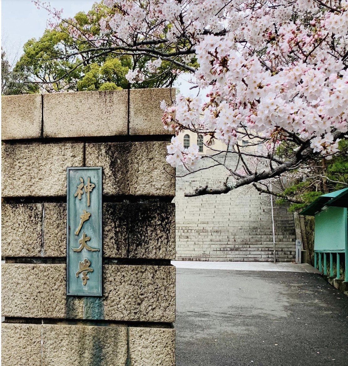 古若妤於日本神戶大學交換的照片